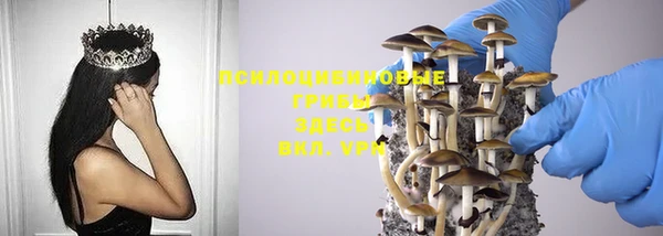 соль курить ск Липки